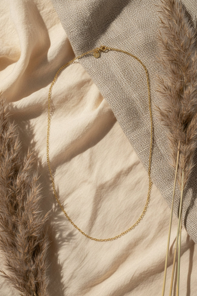 Collar Cadena Dorada