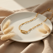 Collar Paperclip Carabiner