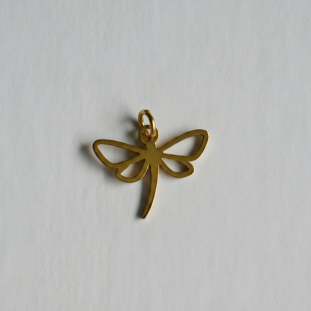 Charm Libelula