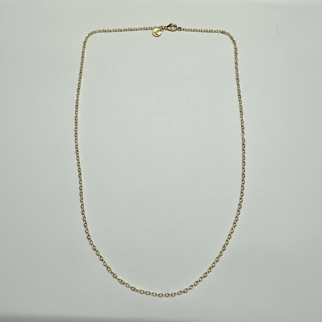 Collar Cadena Dorada